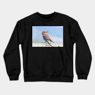 Lilac Breasted Roller, Ngorongoro Crater Crewneck Sweatshirt